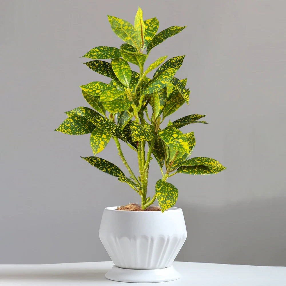 Realistic artificial ficus tree for interior and exterior decoration - view 2