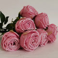 Autumn Pink