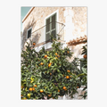 Wall art poster of the city of bellagio in Tuscan