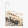 Art poster of dried flowers for wall decoration
