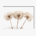 Poster canvas beach art dried flowers Nordic decoration dandelion reeds