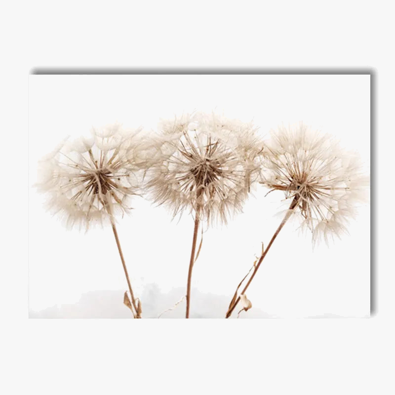 Poster canvas beach art dried flowers Nordic decoration dandelion reeds