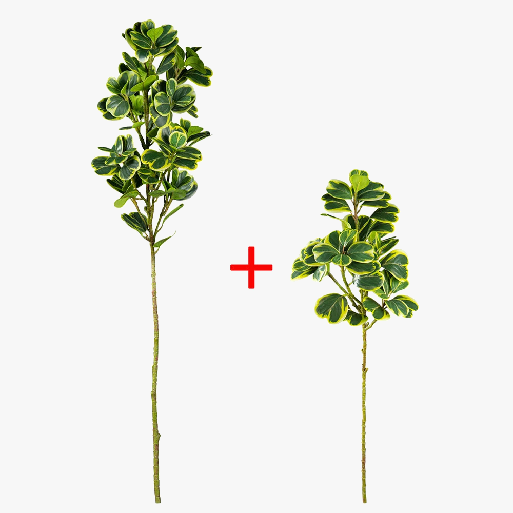 Artificial plastic ficus shaft for outdoor decoration - view 9