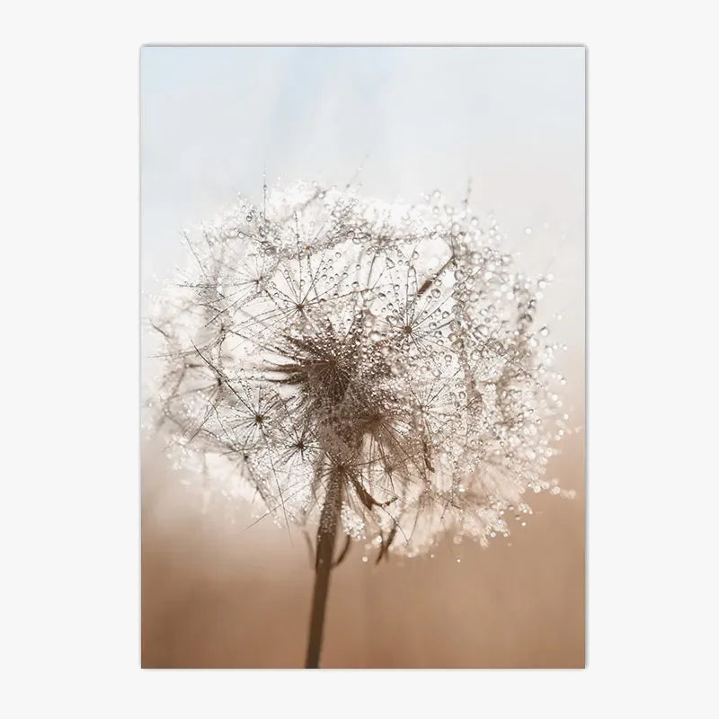 Nordic wall art with bird plants and prints