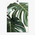 Wall art decorative canvas with Monstera leaves
