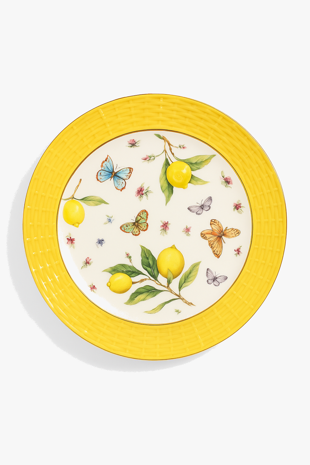 Mediterranean Ceramic Plate with Lemon Pattern Kitchen Style