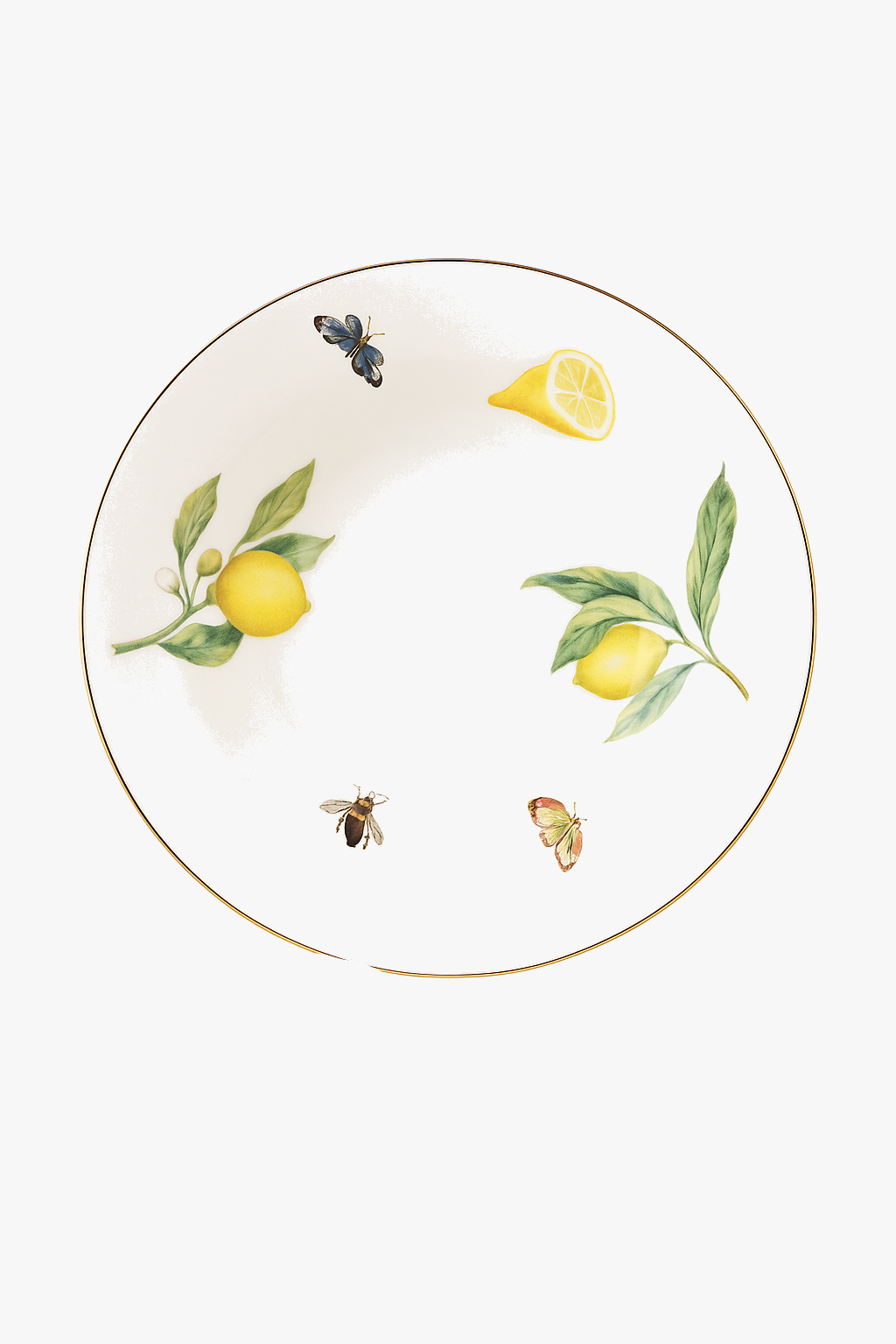 Round Ceramic Lemon-Pattern Plate for Brunch and Pasta Dishes