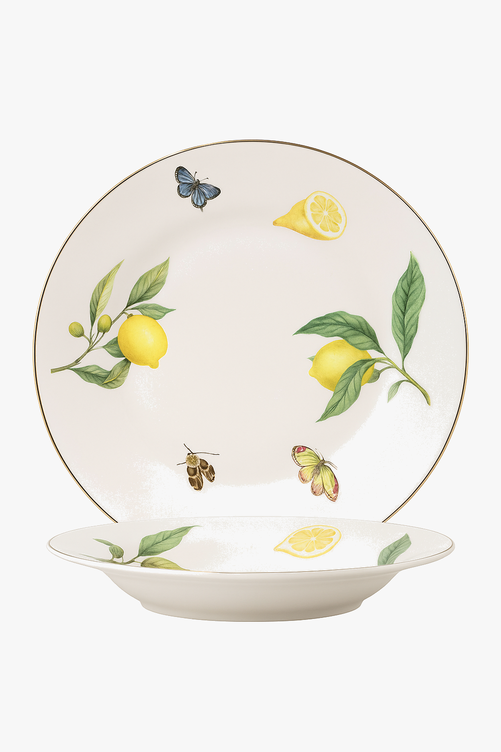European-Style Ceramic Plate with Lemon Pattern, Style Two