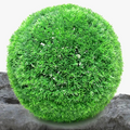 Artificial grass ball in decorative pine needles