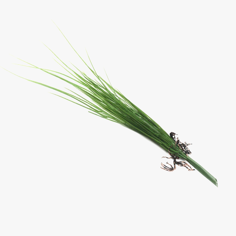 Bouquet of tropical artificial plants for interior and exterior decoration - view 7