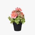 Fake flower peony artificial plant in pot for interior decoration