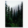 Winter forest deer owl landscape northern wall art