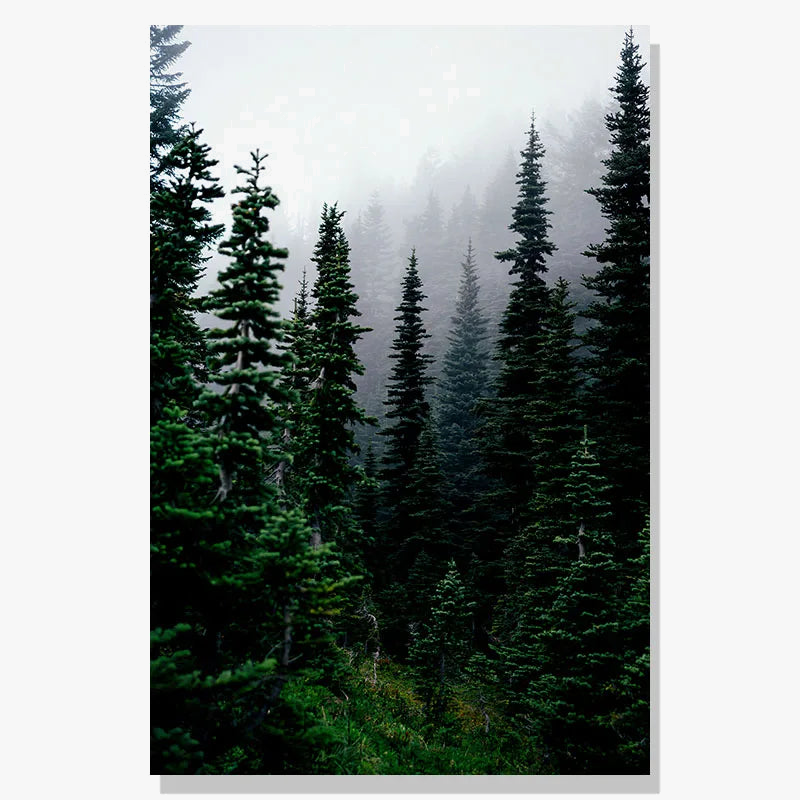 Winter forest deer owl landscape northern wall art
