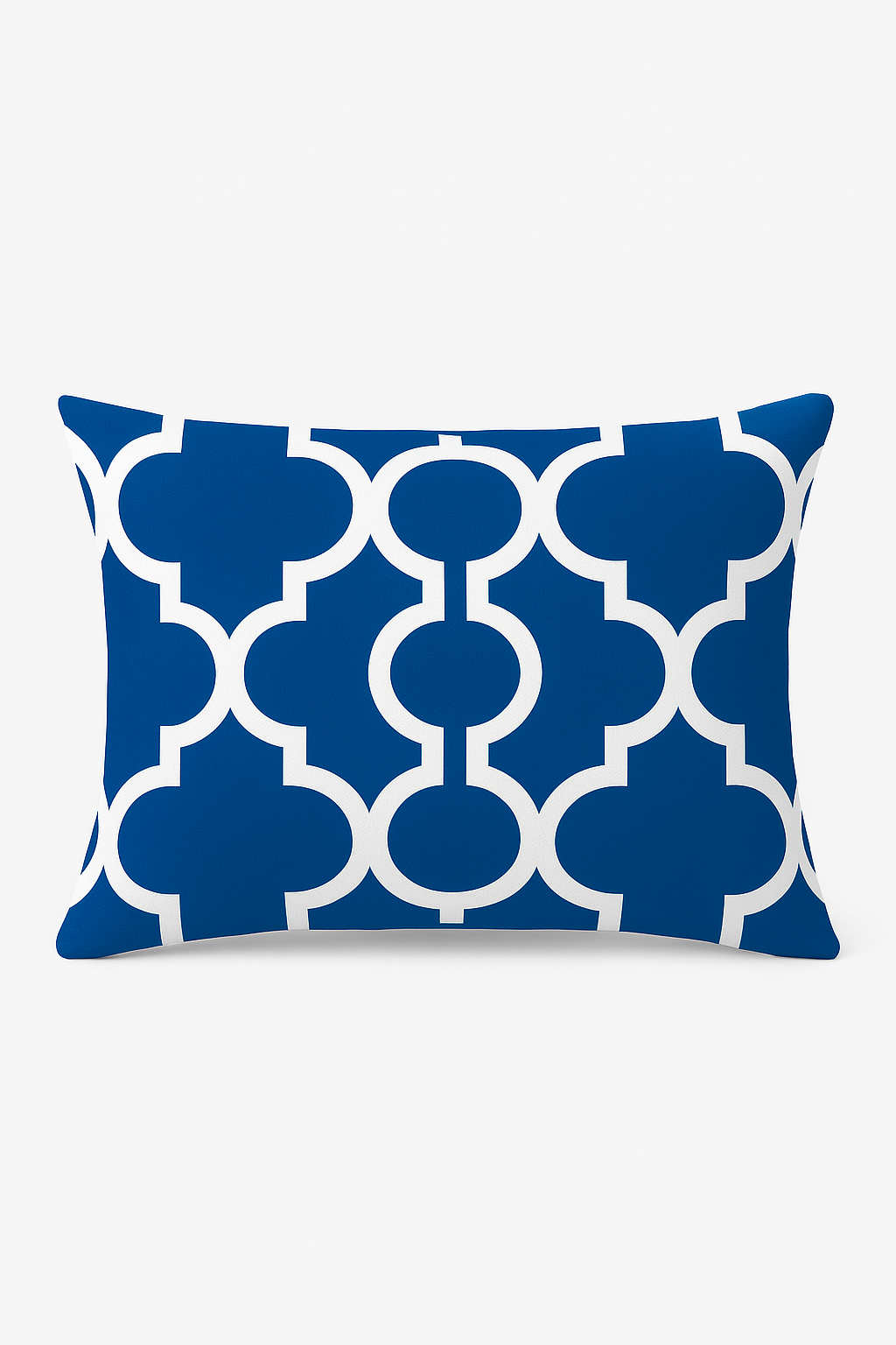 Blue Throw Pillow Cover with Marine Animal Pattern 30 X 50, Design 2