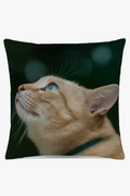 Throw Pillow Cover with Cute Cat Pattern for Armchair or Bed