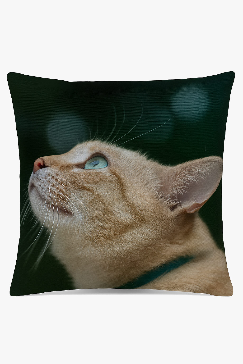 Throw Pillow Cover with Cute Cat Pattern for Armchair or Bed