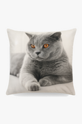 Decorative Throw Pillow Cover with Cute Cat Pattern, Elegant Accent