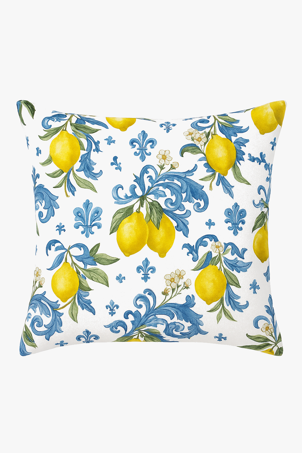 Summer Fruit Lemon and Strawberry Throw Pillow Cover, Design 11