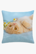 Decorative throw pillow cover cute cat pattern for your space