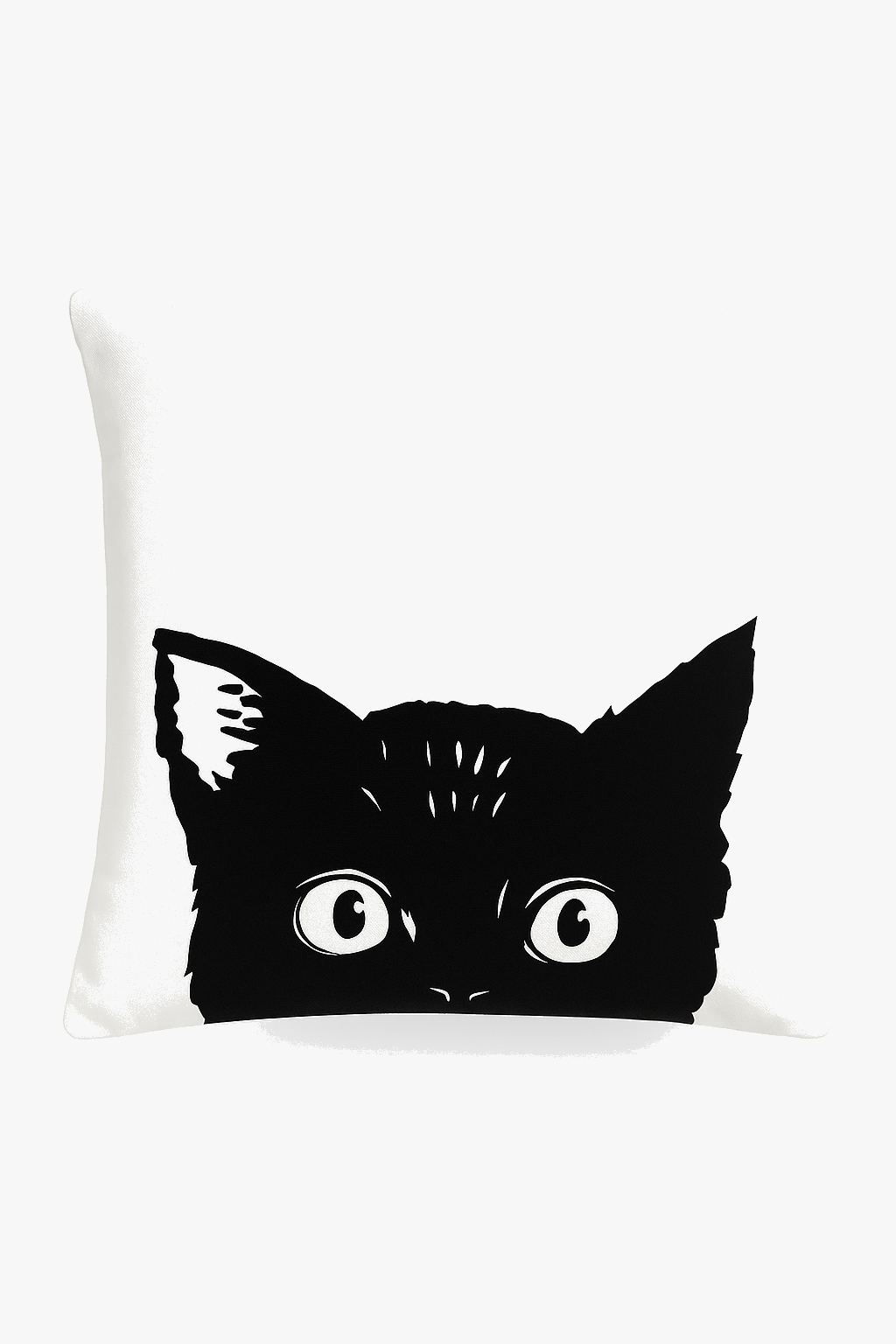 Architectural Black and White Geometric Throw Pillow Cover