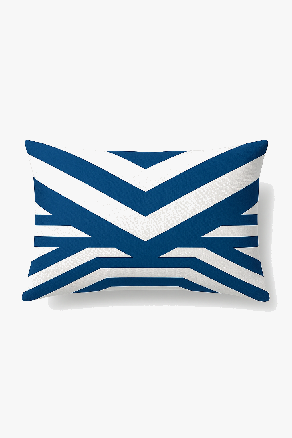 Contemporary Blue Marine Animal Throw Pillow Cover 30x50cm