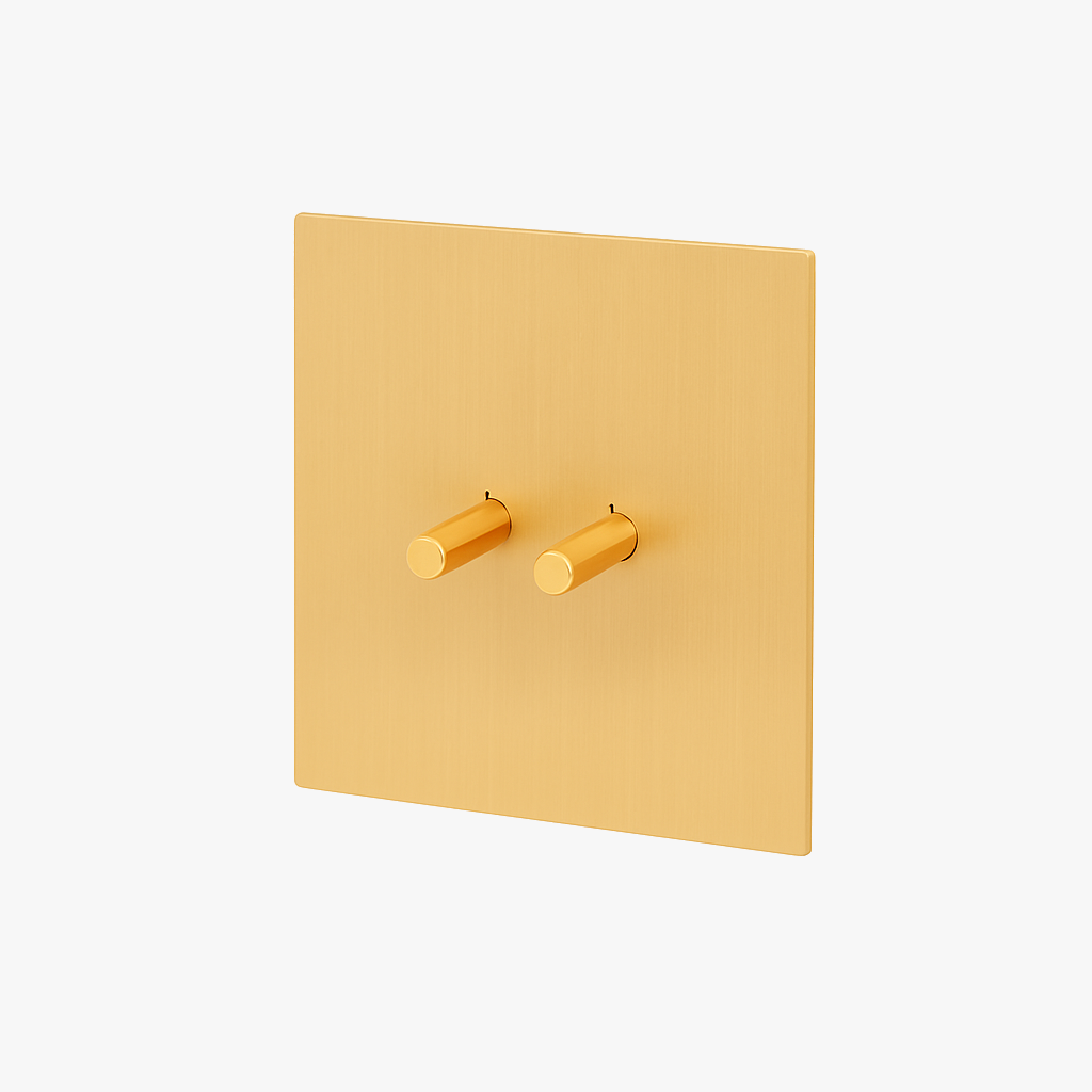 Double 2-way brushed steel switch