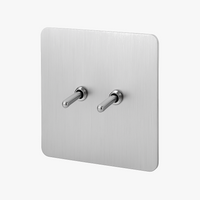 Double 2-Way Switch in Brushed Light Grey Steel, Style One