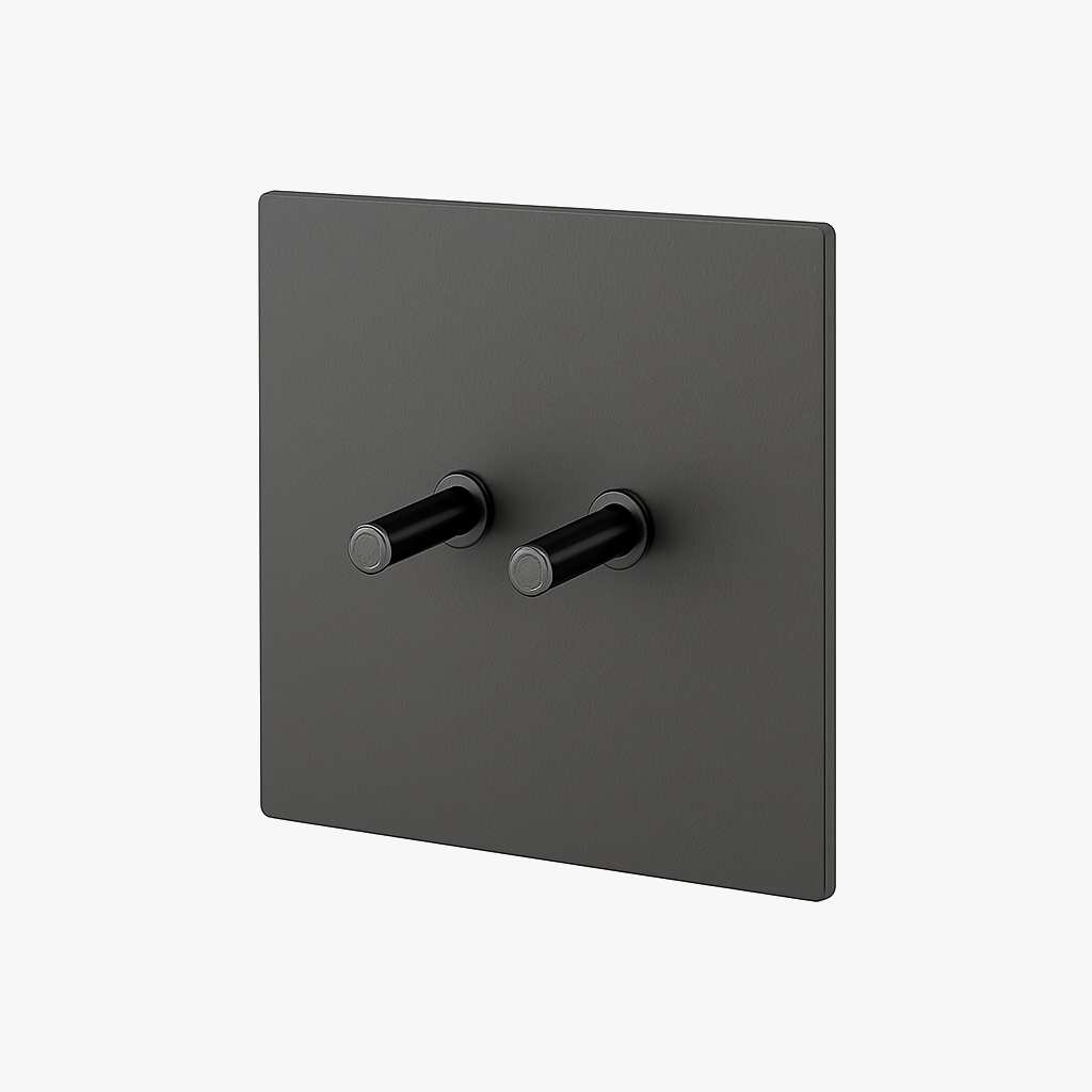 2-Way Double Switch in Brushed Dark Grey Steel, Square Design