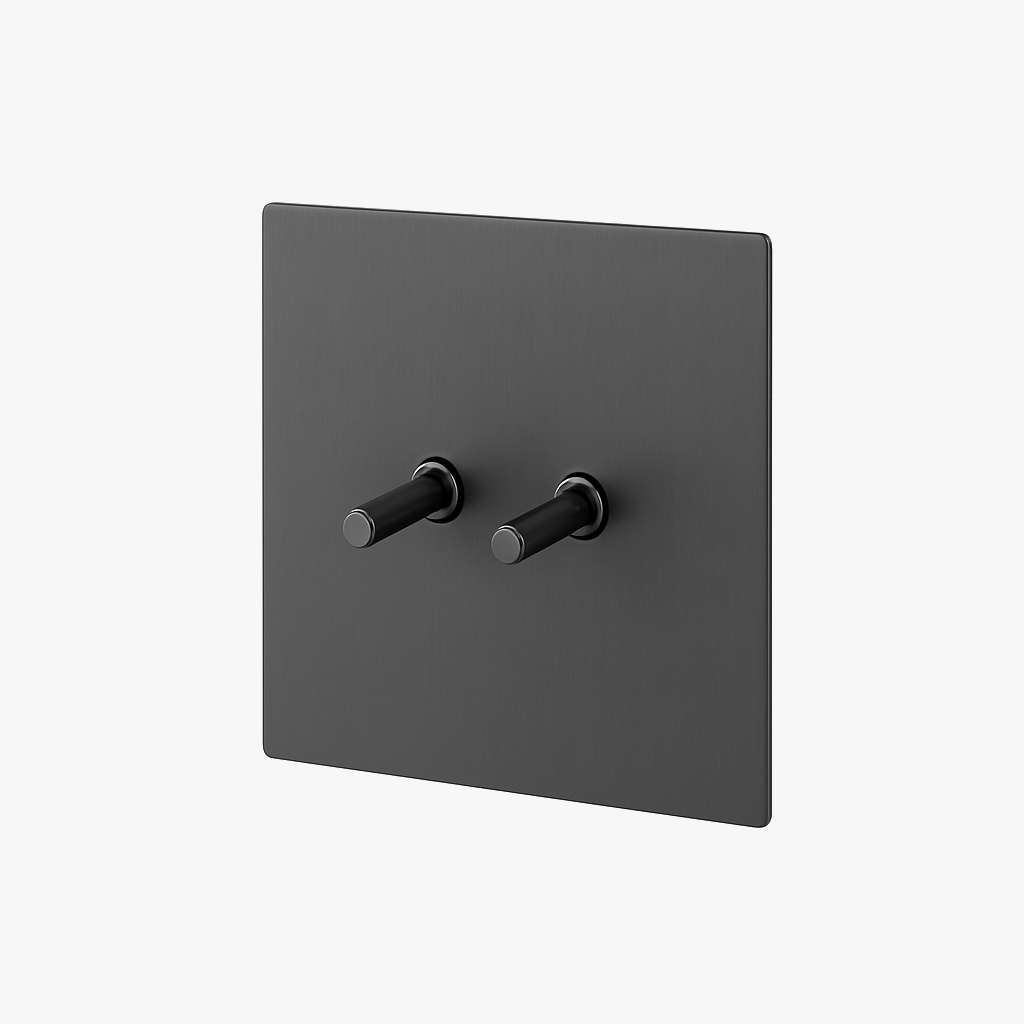 2-Way Intermediate Double Switch in Brushed Dark Grey Steel