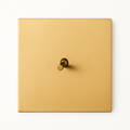 Single switch 1 track in brushed gold steel - 1Gang -Gold / Curtain switch