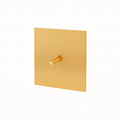 Efficient Single 1-Way Switch Brushed Gold Steel