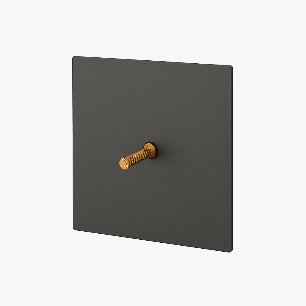 Single switch intermediate switch in brushed and gold grey steel