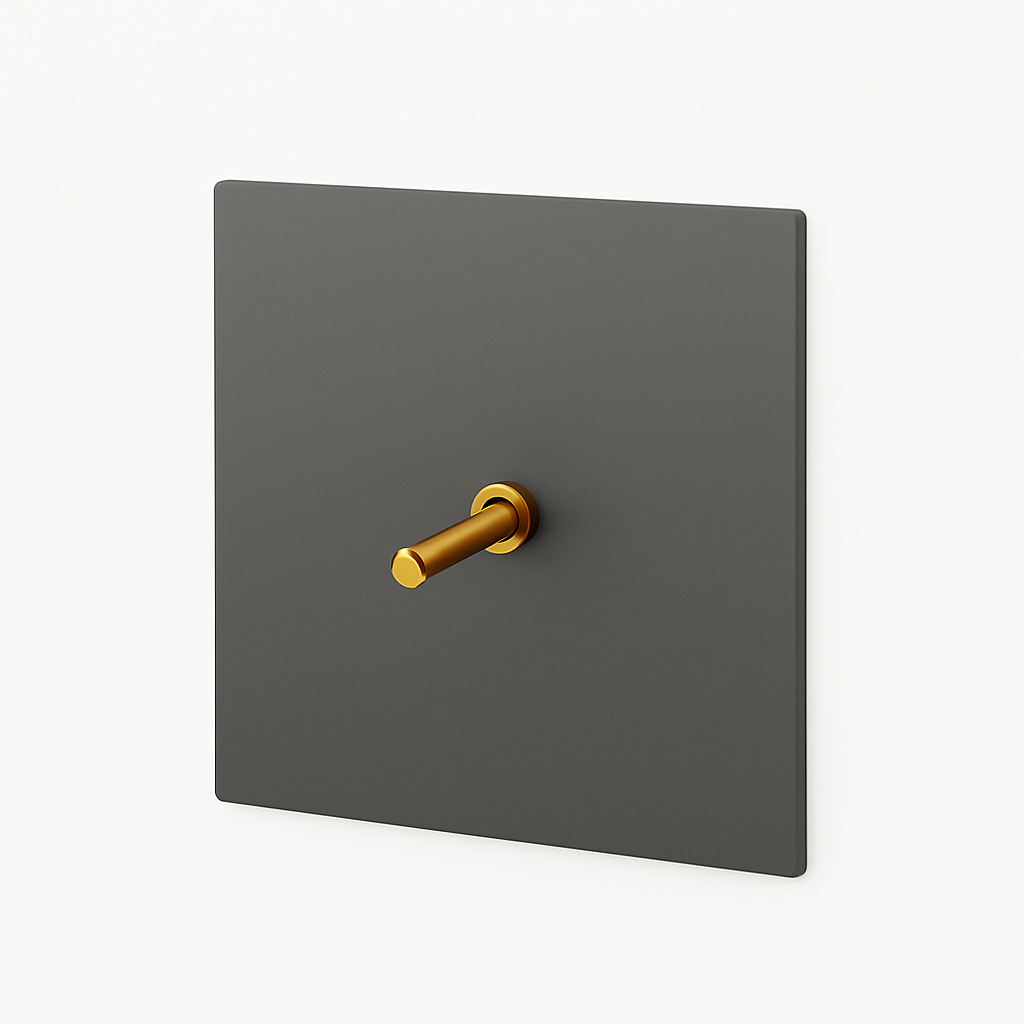 Single switch in brushed and gold grey steel