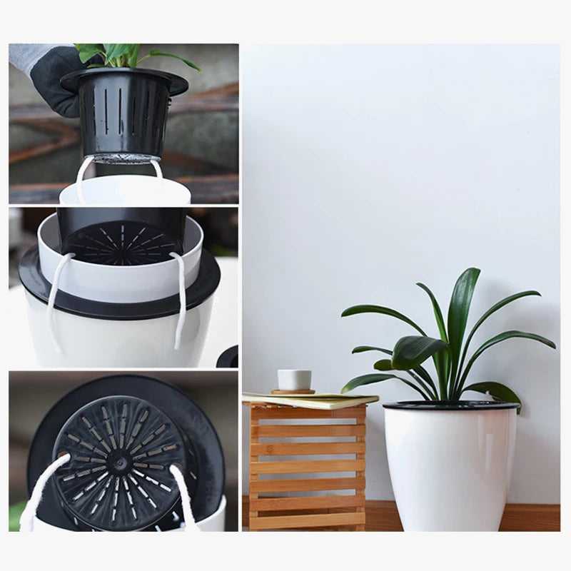 Modern self-watering gardener for succulent plants and orchids - view 5