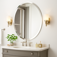 Oval wall mirror without high definition frame with bevelled silver edge