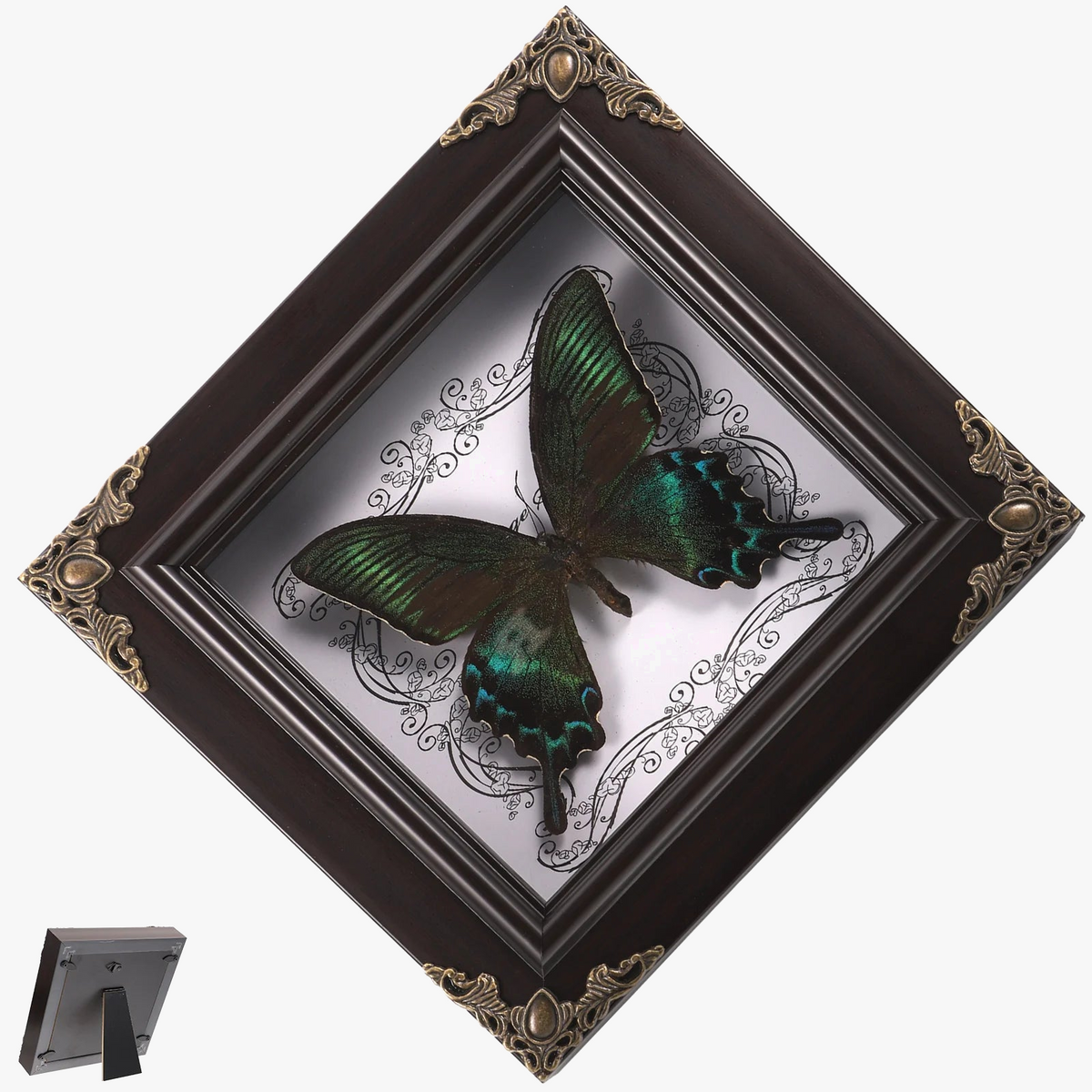 Framed butterfly in retro vintage decor taxidermie - view 2