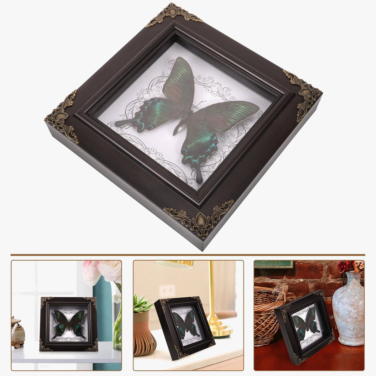 Framed butterfly in retro vintage decor taxidermie - view 4