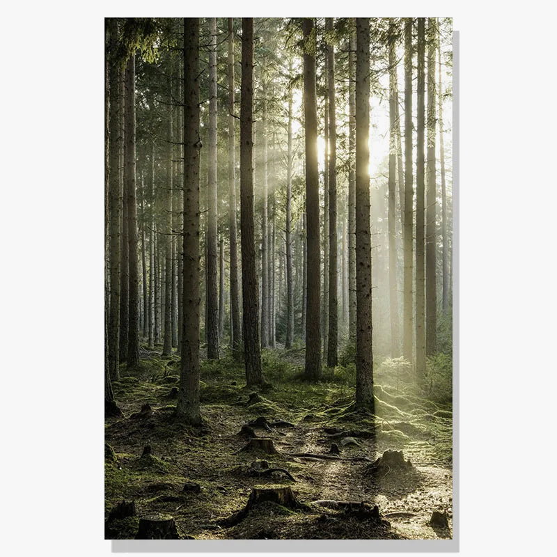Nordic landscape winter deer owl sunlight wall art