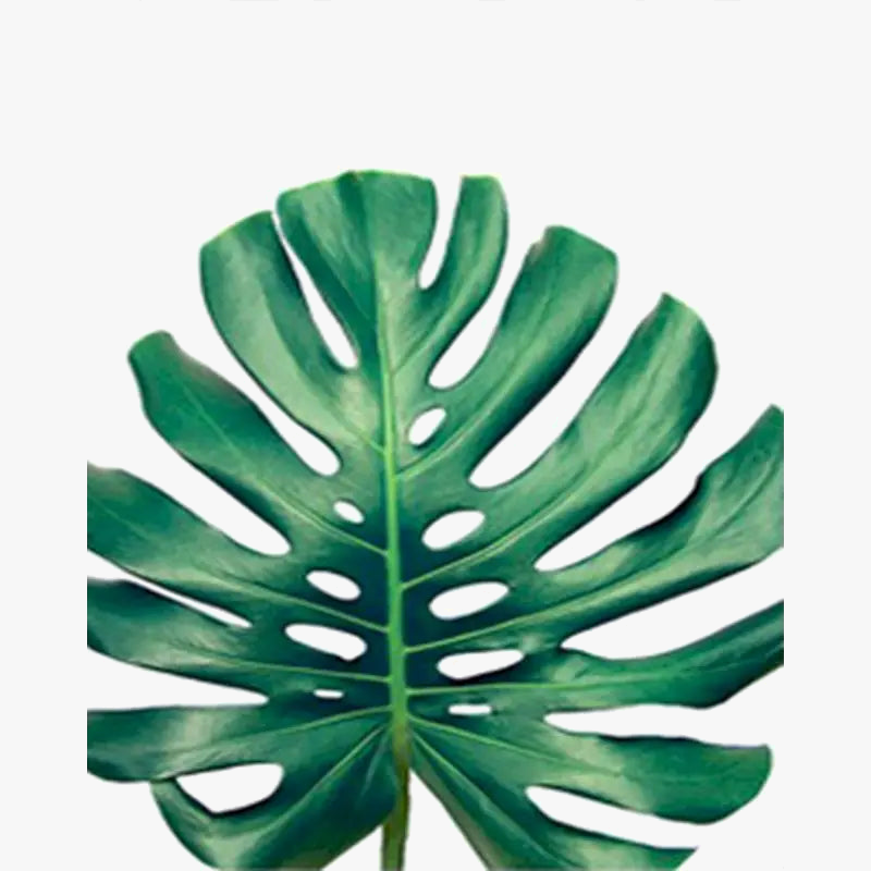 Oil painting by number green leaves decorative DIY kit