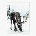Wall painting snow-covered forest with decorative Nordic animals