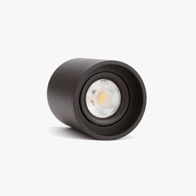 LED dimmable ceiling lamp for modern interior lighting 6000k