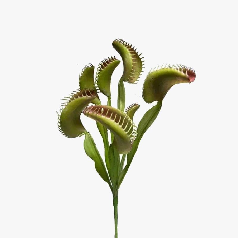 Artificial plant catch-flies tropical decoration for office - view 3