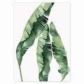 Tropical plant modern poster canvas decoration wall Scandinavian