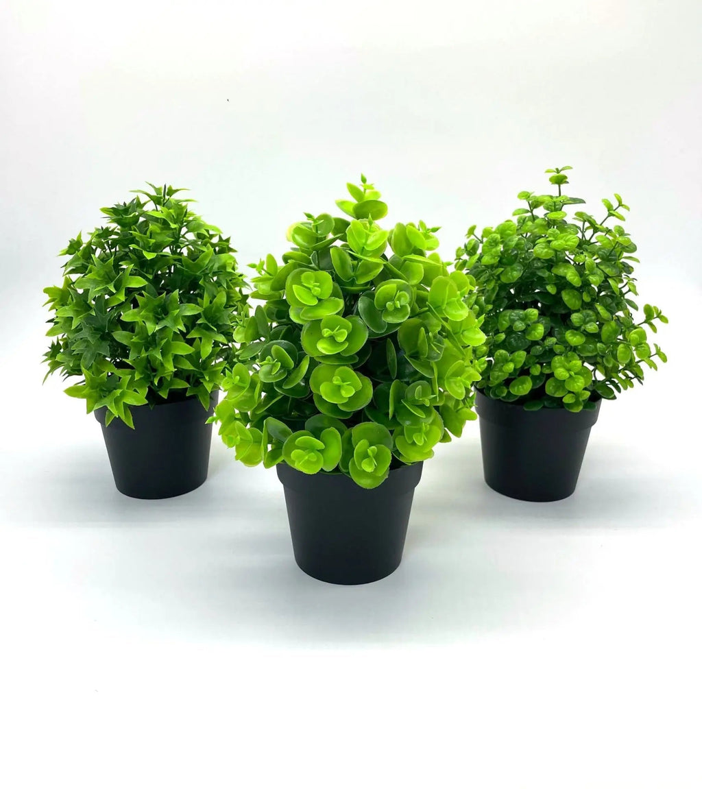 Artificial Potted Plant for Living Room Bedroom or Office - view 3