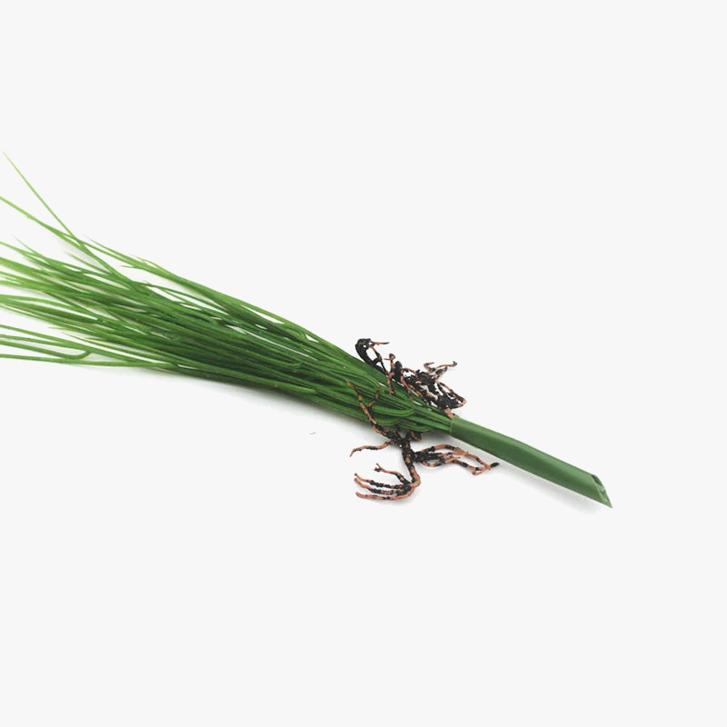 Artificial plants for interior decoration and garden - view 2