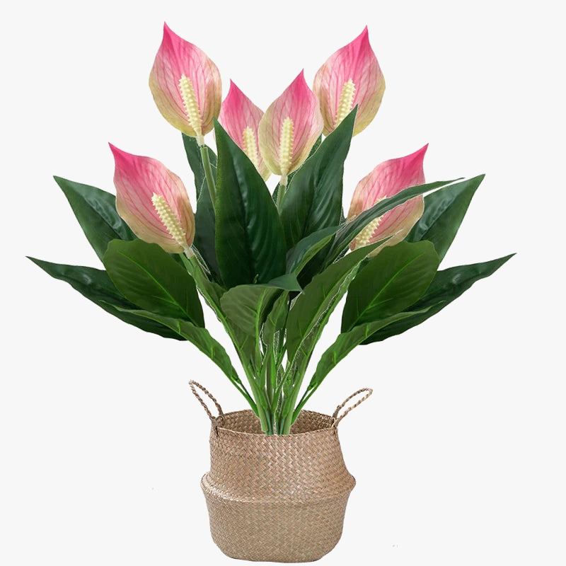 Tropical Monstera and Anthurium Artificial Plants, 6 Pot Options
