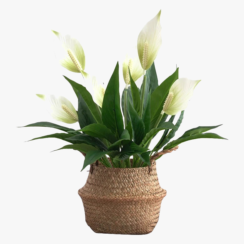 Tropical Monstera and Anthurium Artificial Plants, 6 Pot Options - view 2