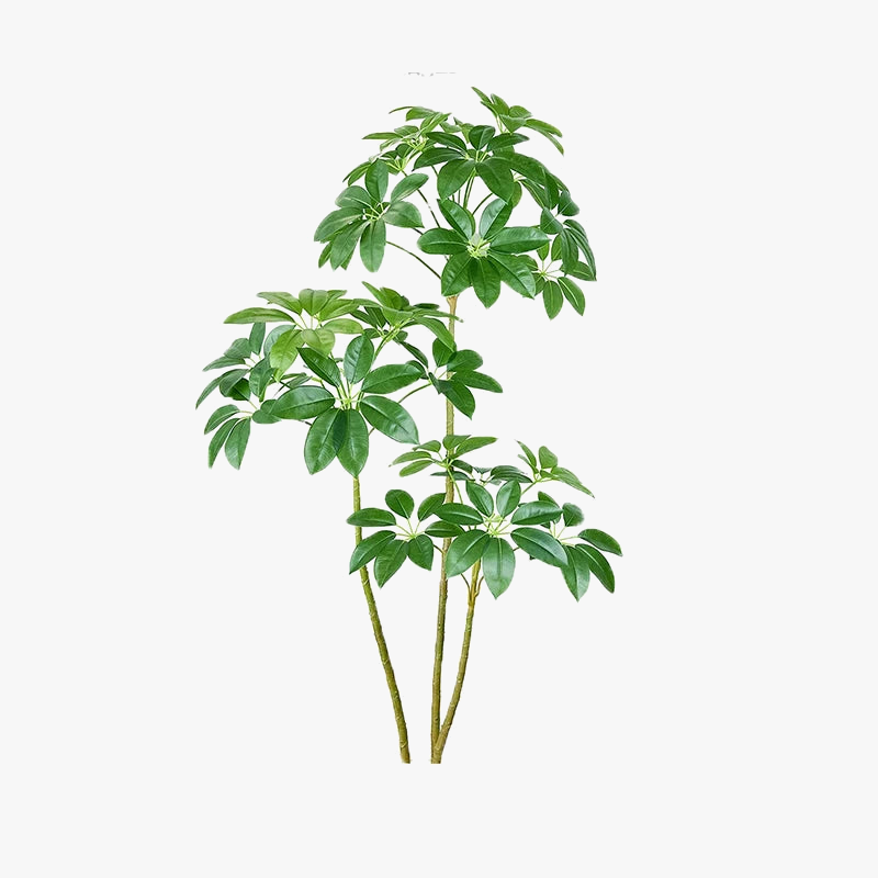 Schefflera Tropical Artificial Plant, 70 to 220 cm - view 6