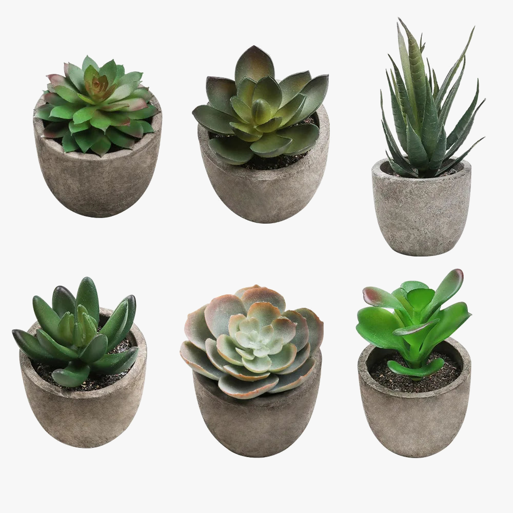 Artificial succulent plants for modern interior decoration
