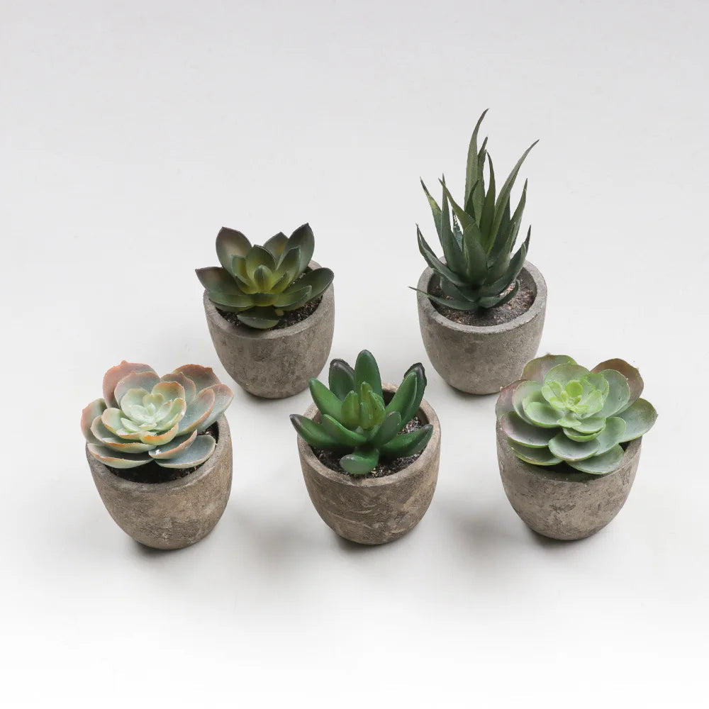 Artificial succulent plants for modern interior decoration - view 3